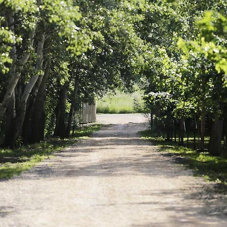 Antal-Tavi Fogado Es Horgaszparadicsom Szentes Buitenkant foto