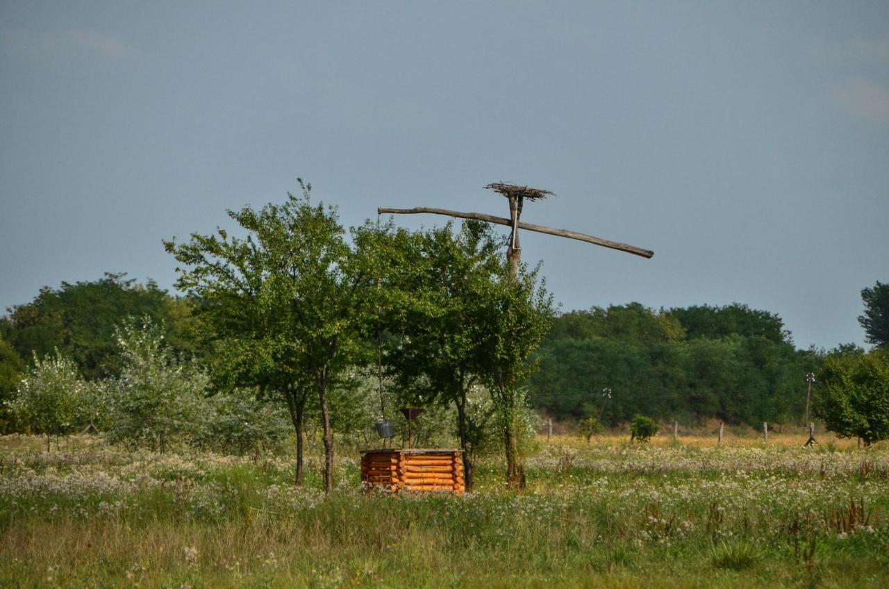 Antal-Tavi Fogado Es Horgaszparadicsom Szentes Buitenkant foto
